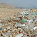 Large quantities of plastic seen along the Dead Sea coastline.(photo credit: Charles Everhard)